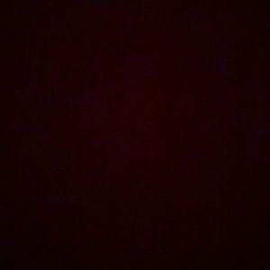 Meet your Posher, Shelly